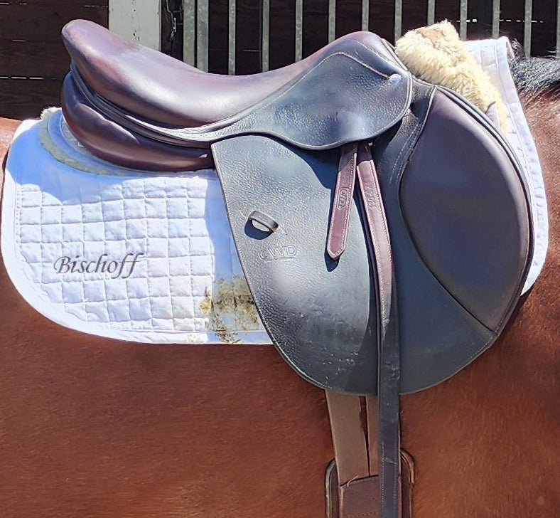 Name added to Saddle pad